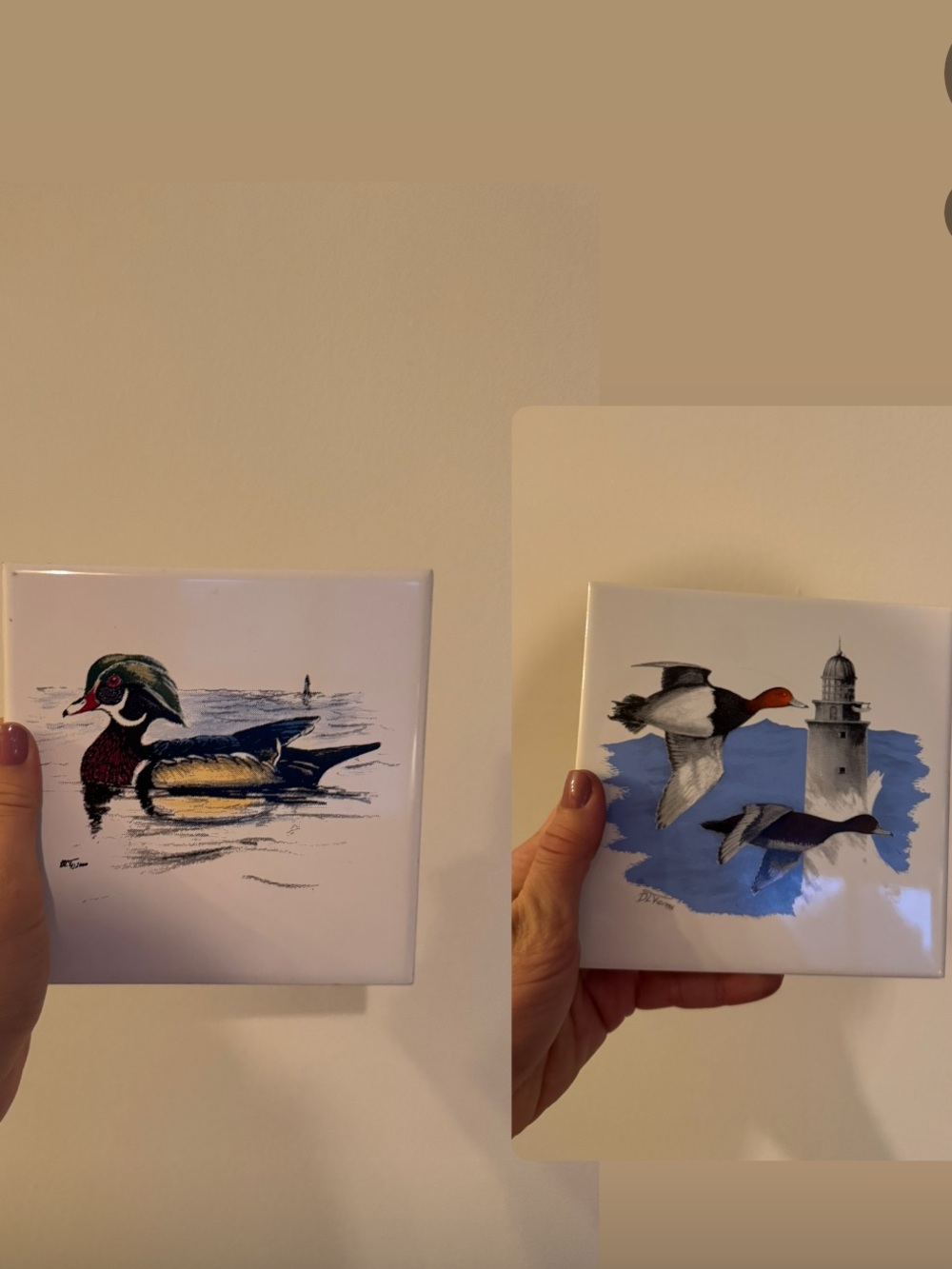 Set of Two Vintage Duck Trivets